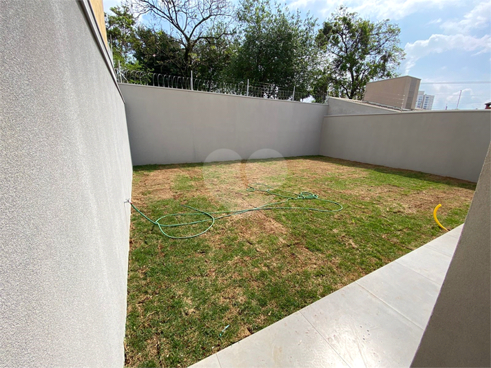 Foto REO1135409