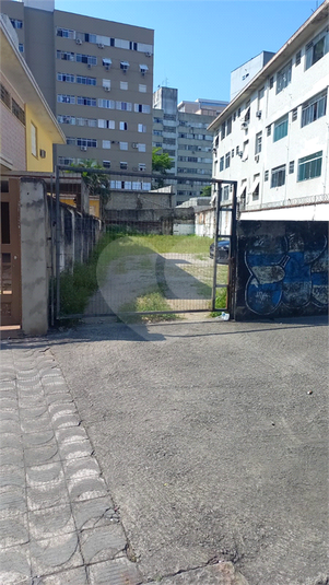 Foto REO1135417