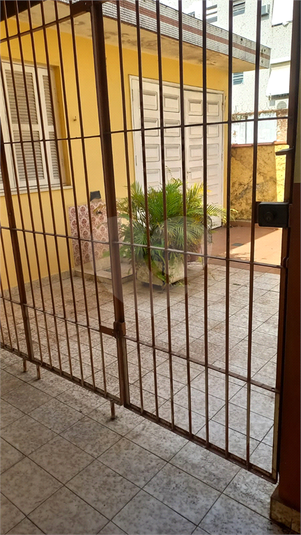 Foto REO1135417