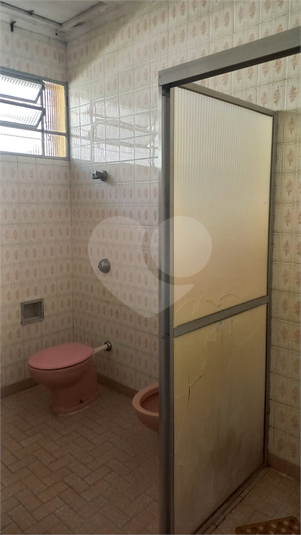 Foto REO1135417