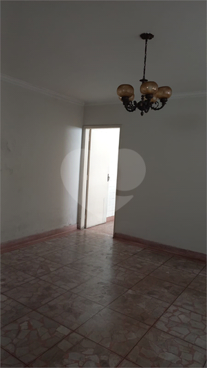Foto REO1135417