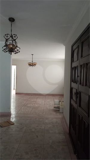 Foto REO1135417