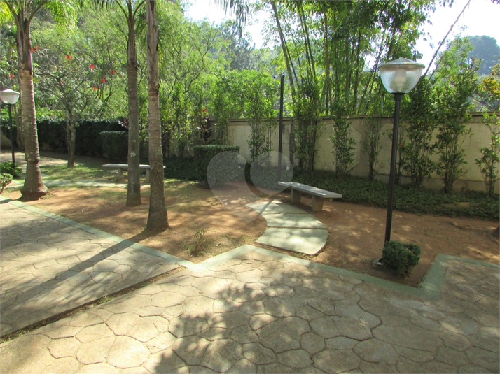 Foto REO1135419