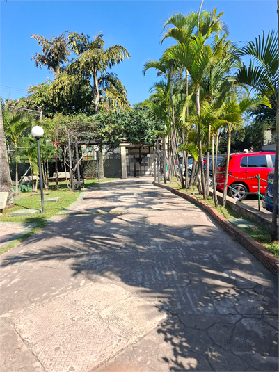 Foto REO1135419