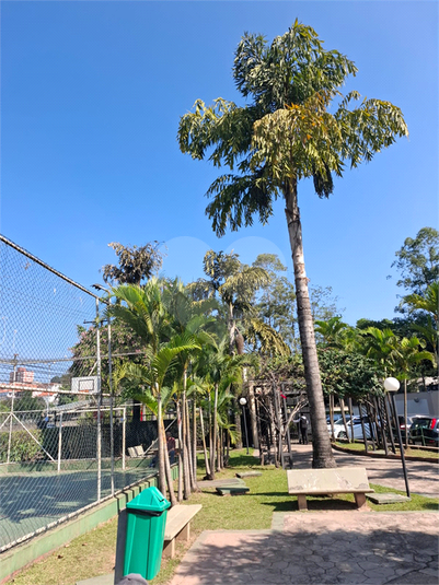 Foto REO1135419