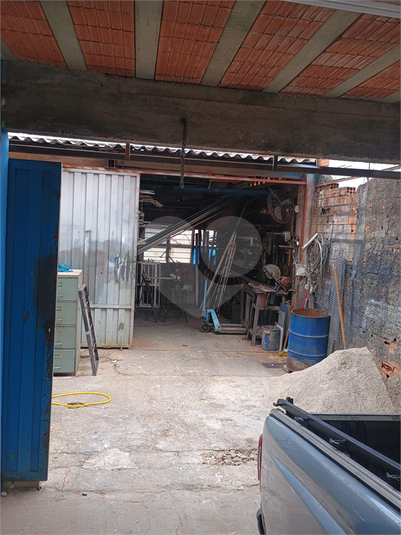 Foto REO1135425