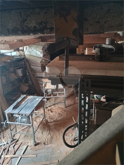 Foto REO1135425