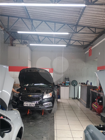 Foto REO1135425