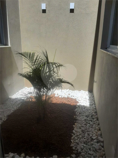 Foto REO1135426