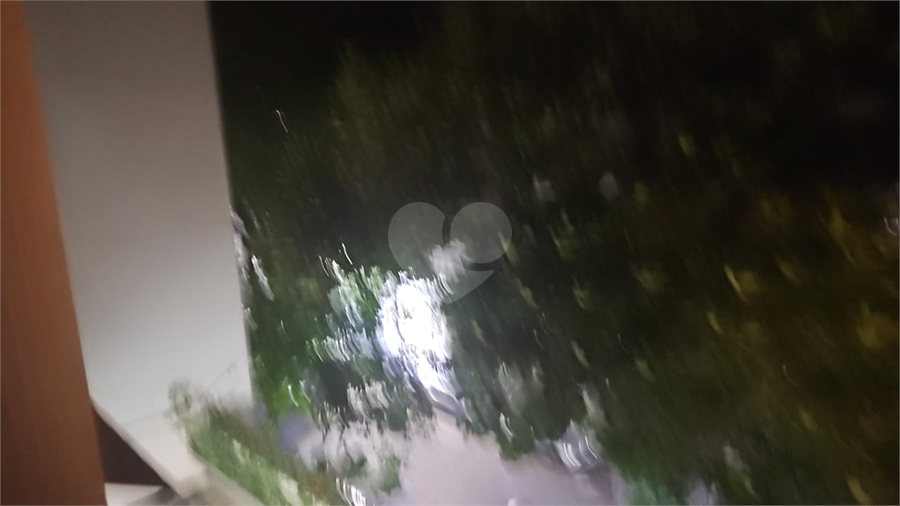 Foto REO1135430