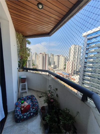Foto REO1135441