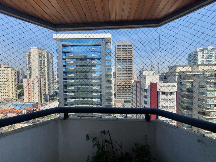 Foto REO1135441