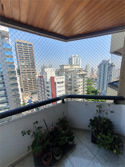 Foto REO1135441