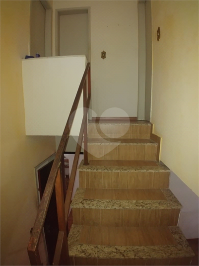 Foto REO1135443