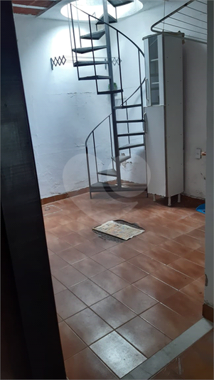 Foto REO1135443
