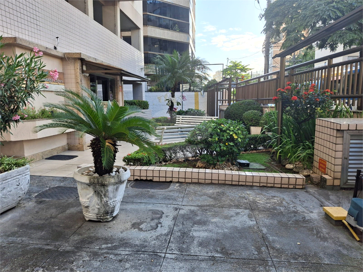 Foto REO1135449