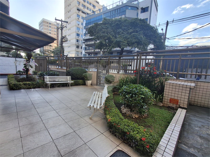 Foto REO1135449