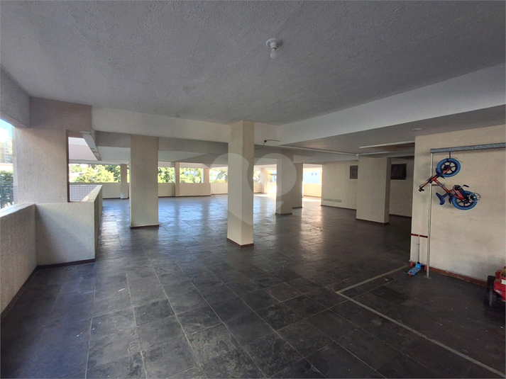 Foto REO1135449
