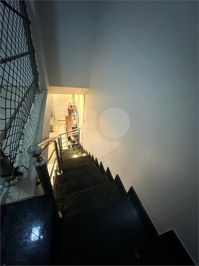 Foto REO1135451