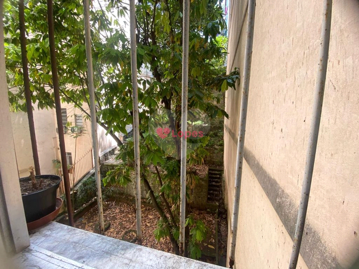 Foto REO1135455