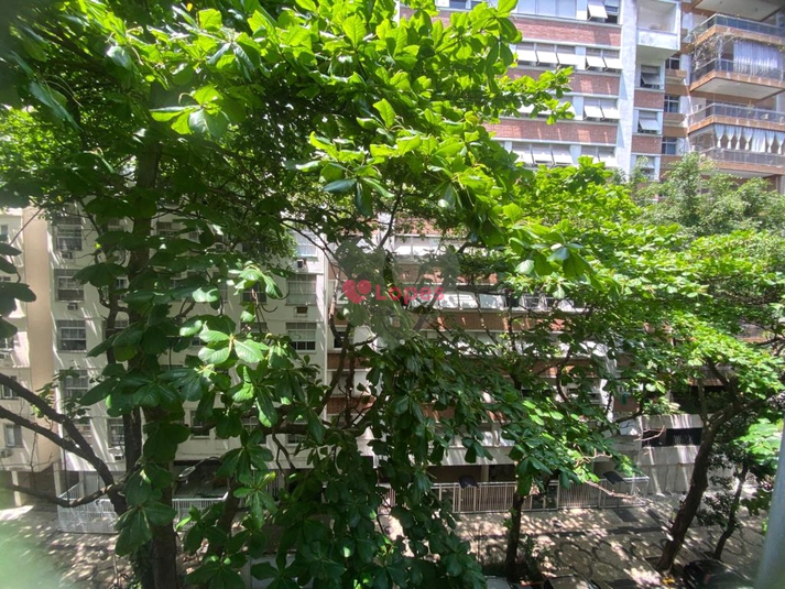 Foto REO1135455