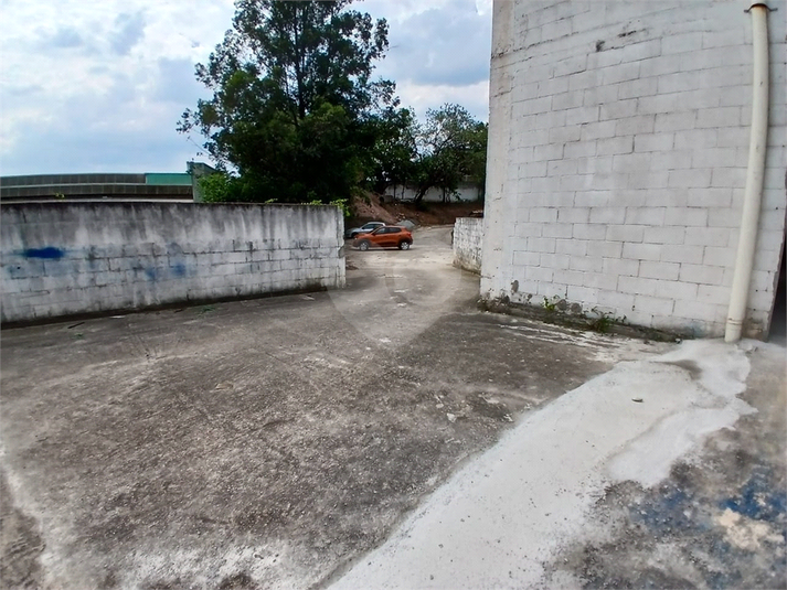 Foto REO1135463