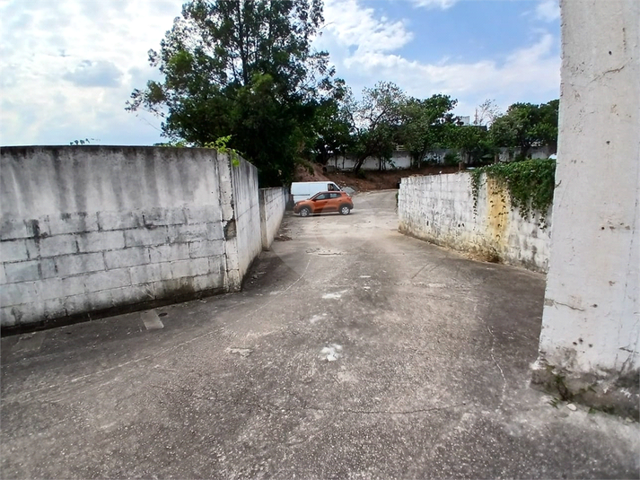 Foto REO1135463