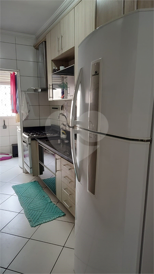 Foto REO1135464