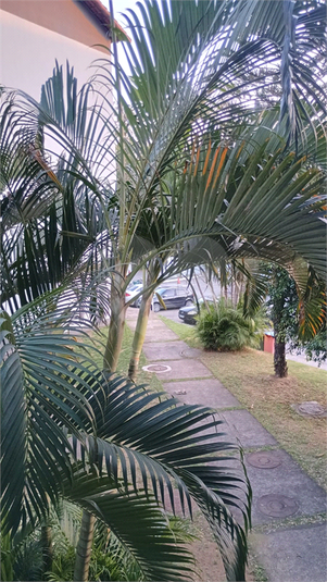 Foto REO1135470