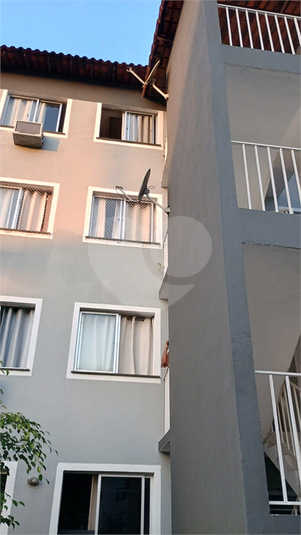 Foto REO1135470