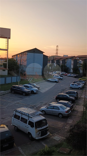 Foto REO1135470