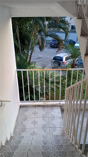 Foto REO1135470
