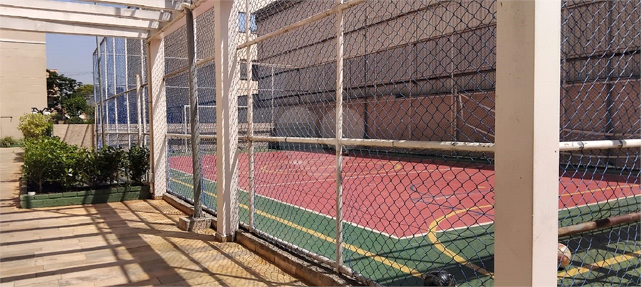 Foto REO1135492