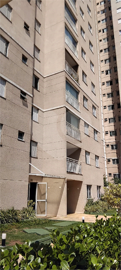 Foto REO1135492