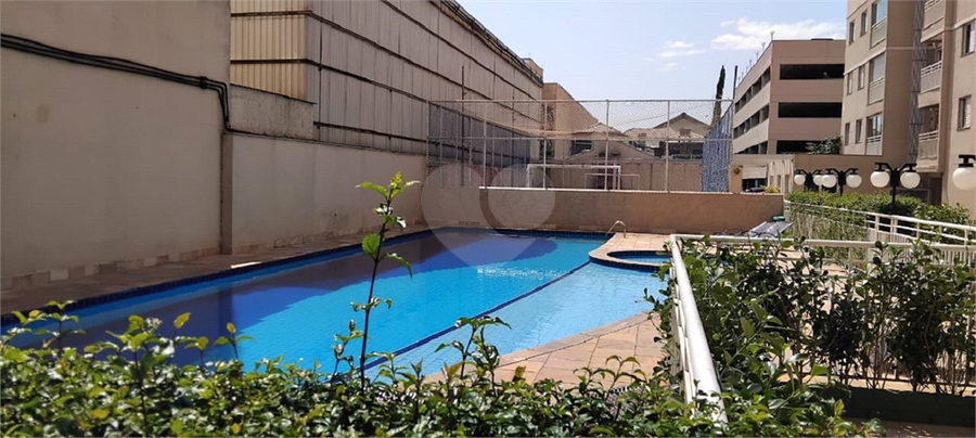 Foto REO1135492