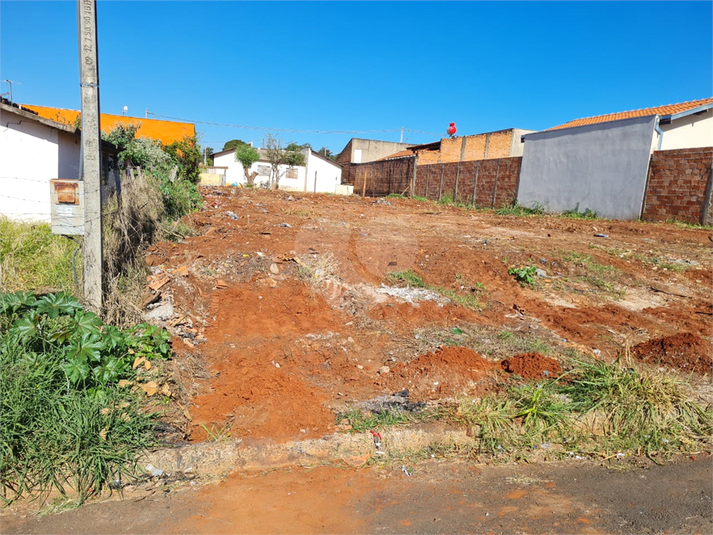 Foto REO1135519