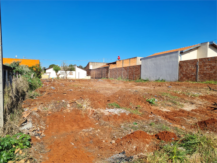 Foto REO1135524