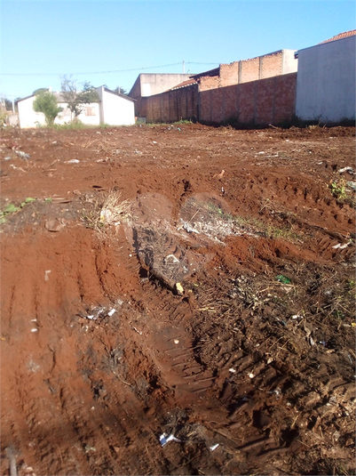 Foto REO1135524