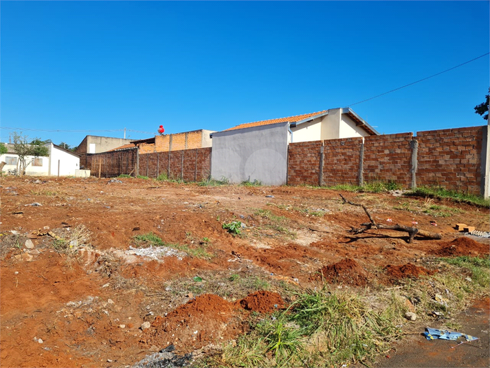 Foto REO1135524