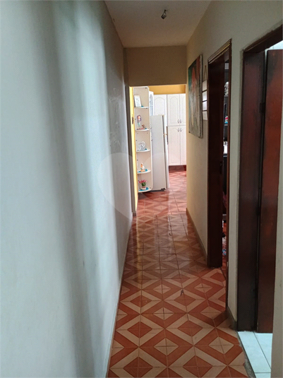 Foto REO1135528
