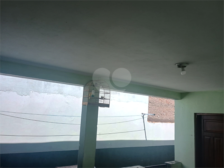 Foto REO1135528