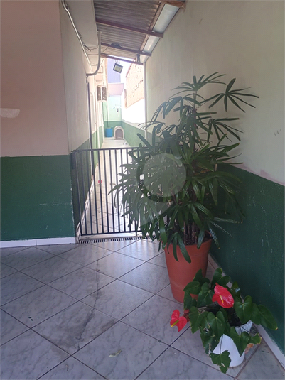 Foto REO1135528
