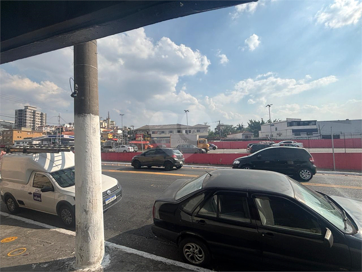 Foto REO1135539