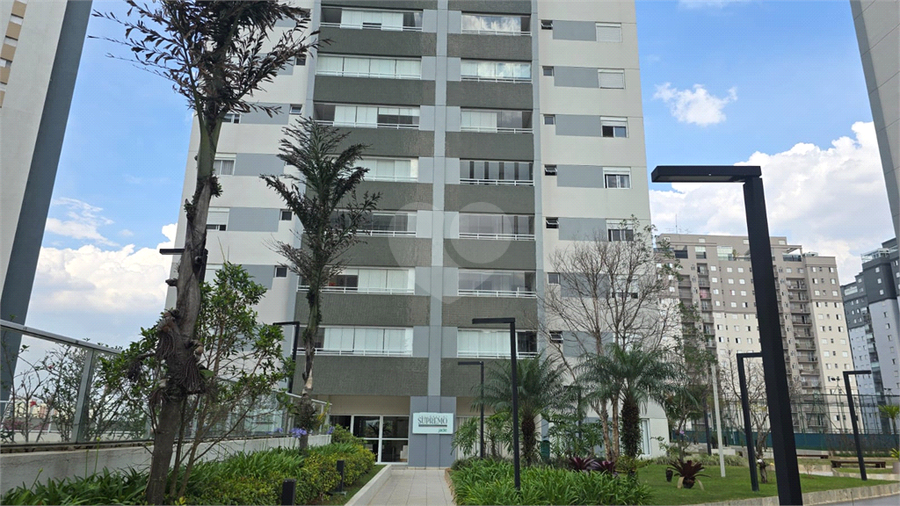Foto REO1135565