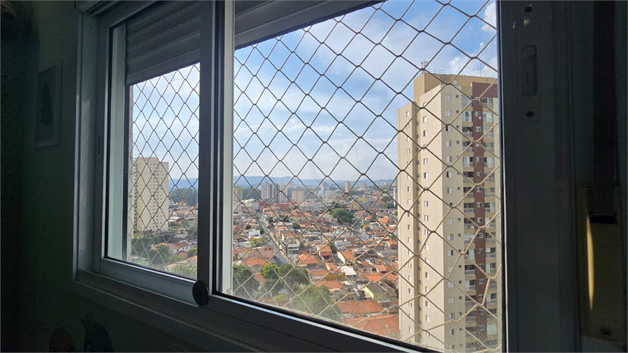 Foto REO1135565