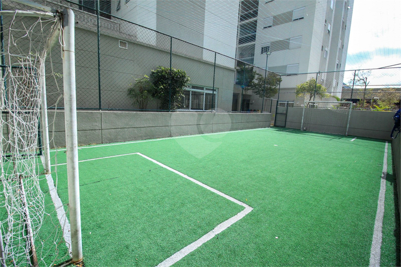 Foto REO1135588