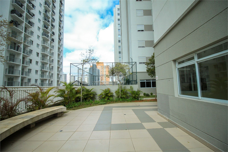 Foto REO1135588