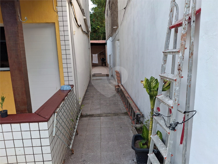 Foto REO1135591