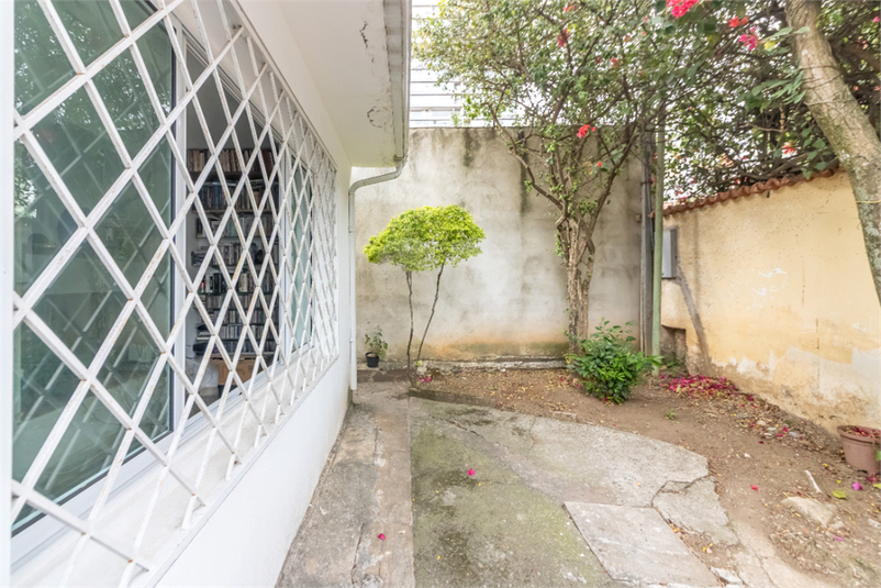 Foto REO1135617