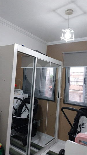 Foto REO1135638